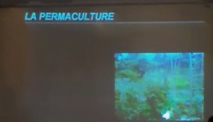 La-permaculture-2.bk