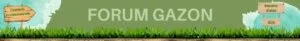 Pour avoir un gazon bien vert