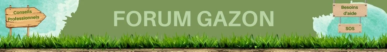 Pour avoir un gazon bien vert