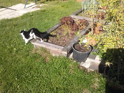 204331001450633366.gif