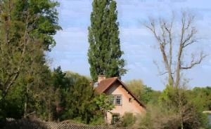 Le jardinier bio