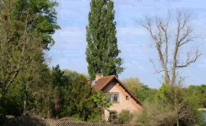 Le jardinier bio