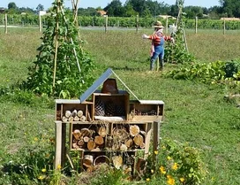 Olivi4 Permaculture 7