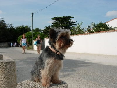 DSCN2529.JPG