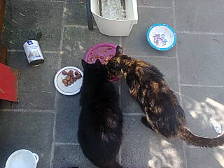 Photo2044.jpg