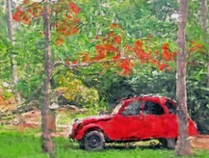 Jardin-forêt