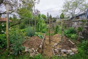 Vie en harmonie dans un potager ou dans un verger