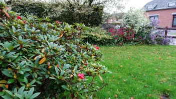 Vue générale du jardin
