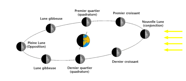 Phases de la lune