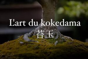 Lart-du-kokedama-couverture-1