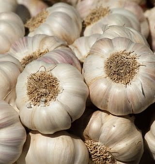garlic-2097759__340.jpg
