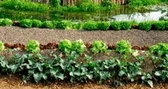 La permaculture