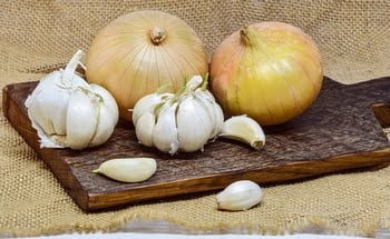 onion-3089199__340