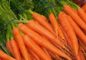 Les carottes