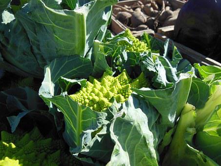 Le chou Romanesco