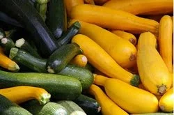 Assortiment de courgettes