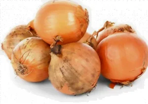 Les oignons