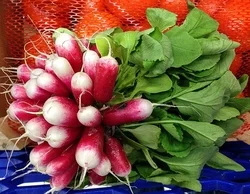 radish-1141477__340.jpg