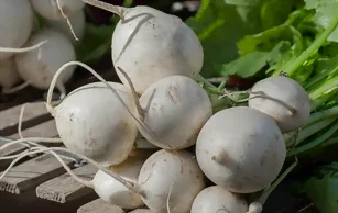 navets blancs
