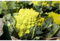 Le chou Romanesco