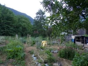 Vue générale de mon jardin
