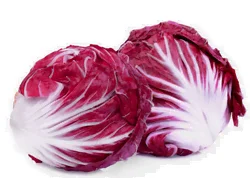 Chicorée prête à consommer