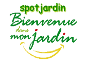 Que faire au jardin du lundi 21 au dimanche 27 août 2023 Spotjardin, bienvenue dans mon jardin