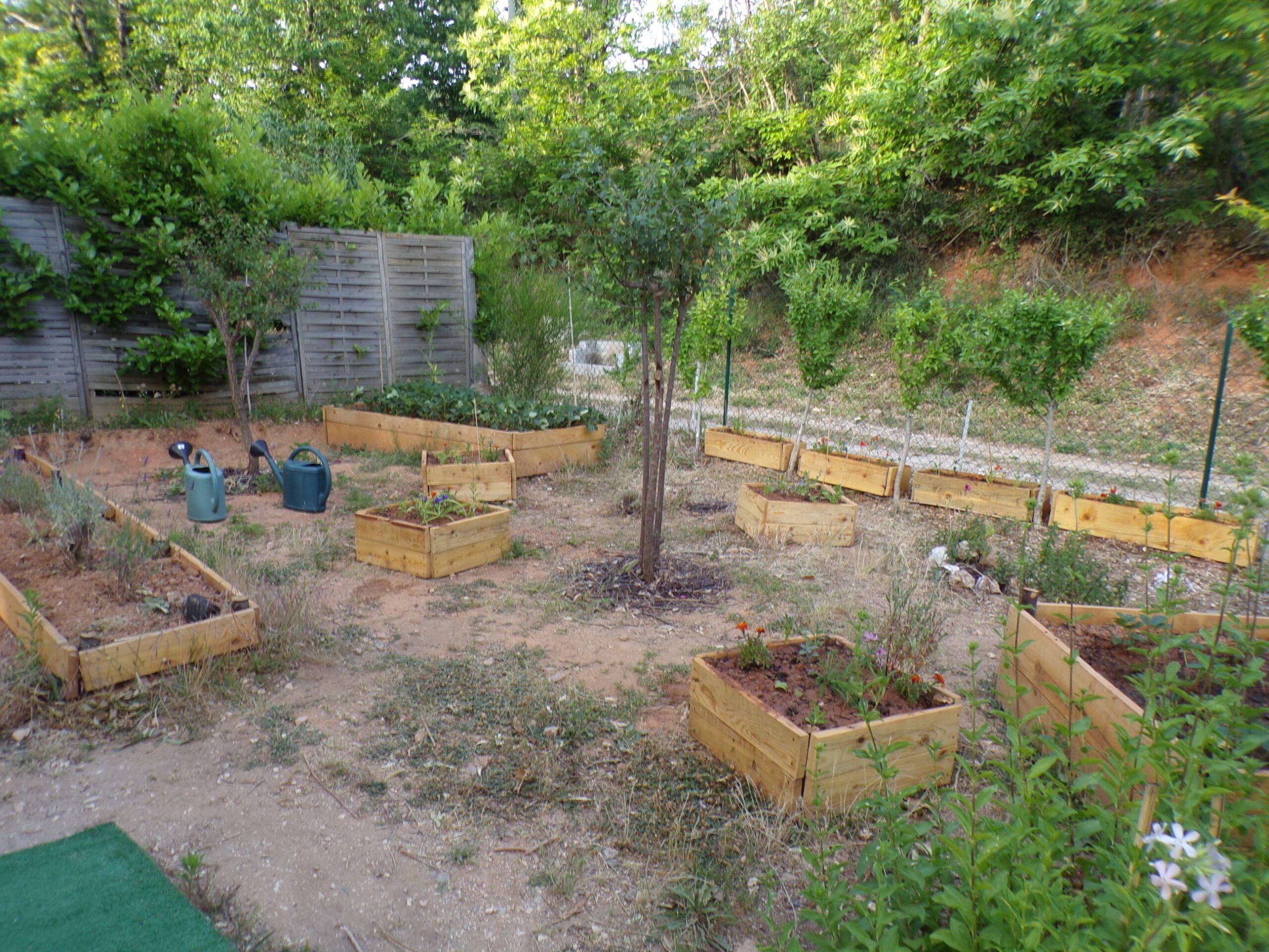 Jardin d'agrément et mini-verger