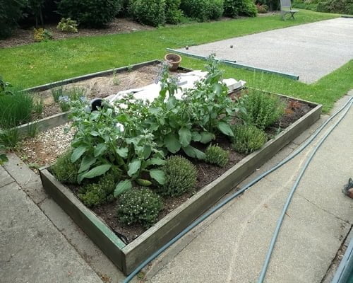 Parterre à aromatiques