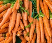 carottes