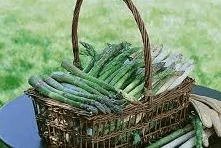 Asperges