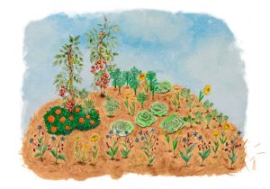 Illustration d'une Hügelkultur en permaculture