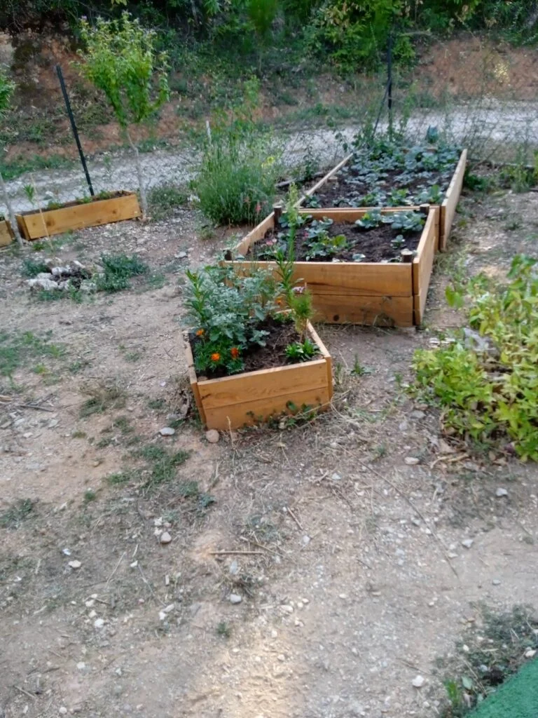 Mon jardin d'agrément