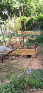 Jardin potager