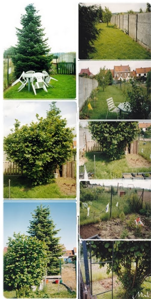 Photos du jardin de Marie-Anne en 1997
