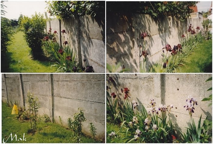 Photos du jardin de Marie-Anne en 1997