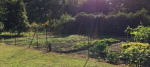 Madore-potager-bio