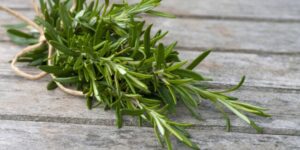 Plantes à effet physiologique sur l’appétit Le-romarin-1