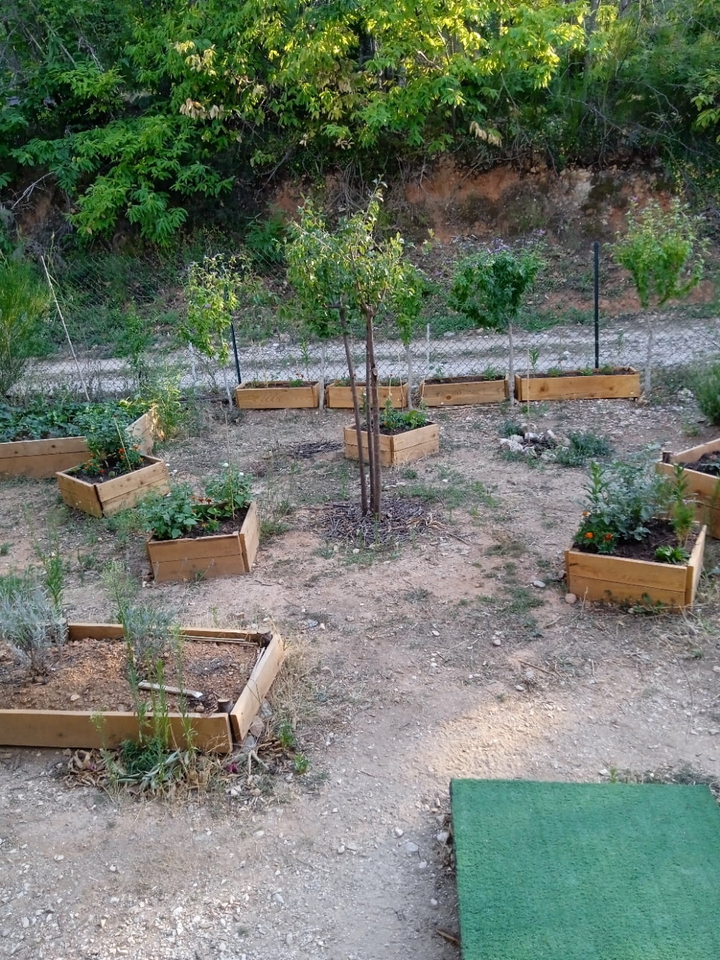 Jardin d'agrément