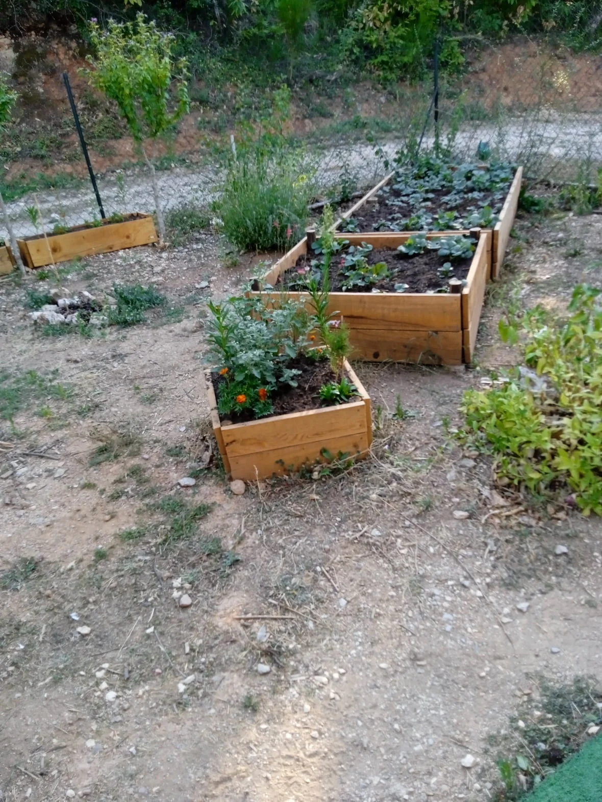 Jardin d'agrément