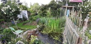 Jardin d'agrément
