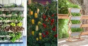 3 exemples de jardin suspendu