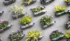 Bouteilles en plastique en guise de pots pour jardin suspendu