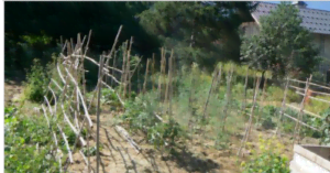 Mon-jardin-a-Saint-Avre