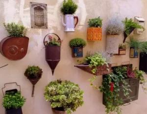 Différents pots suspendus pour plantes