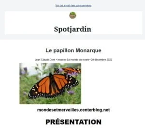 Alerte Nouvel Article