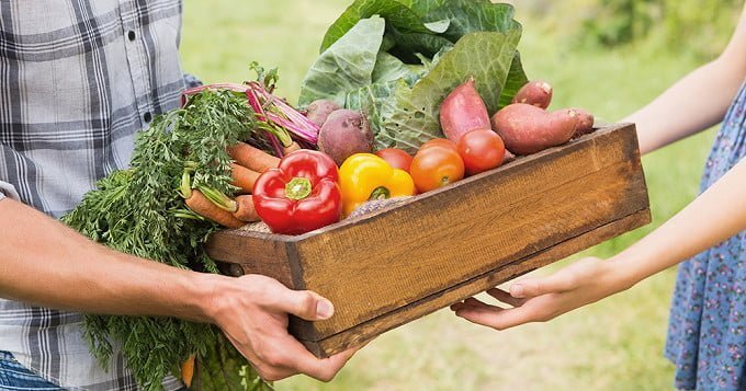 Cagette de légumes