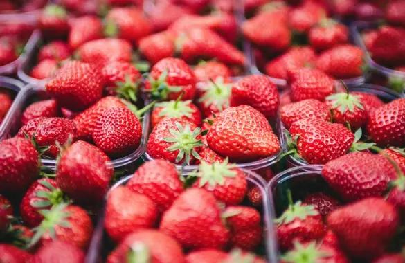 Fraises que l'on peut trouver hors saison dans les grandes surfaces dès le mois de février