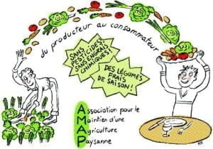 Lettre mensuelle du mois de Février 2023 Illustration des AMAP