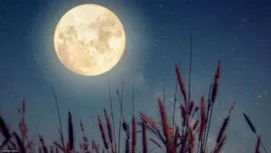 Jardinez avec la lune